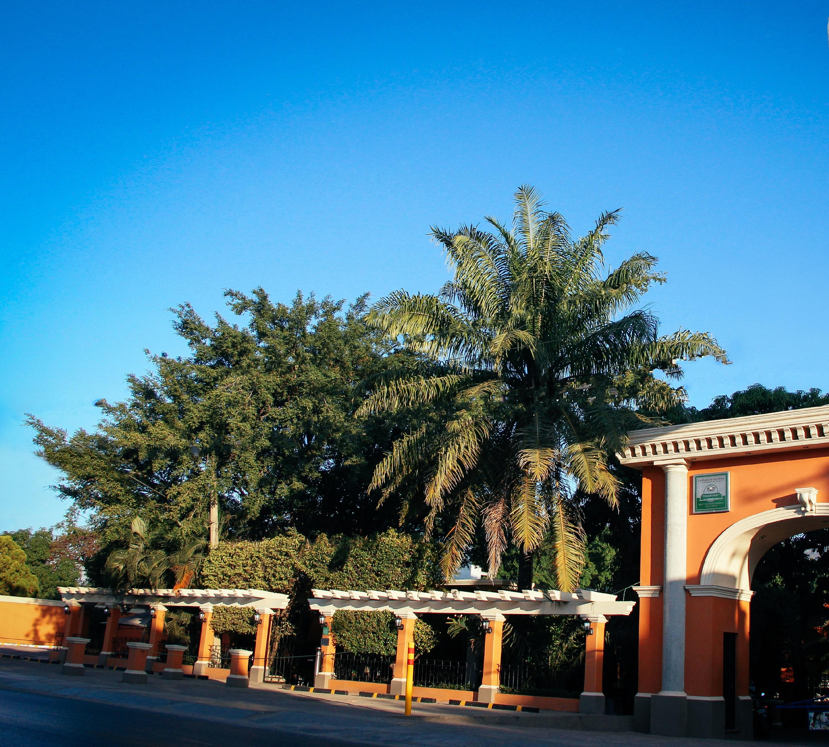 Palmareca Inn-Suites-Studio Tuxtla Gutiérrez Exterior foto